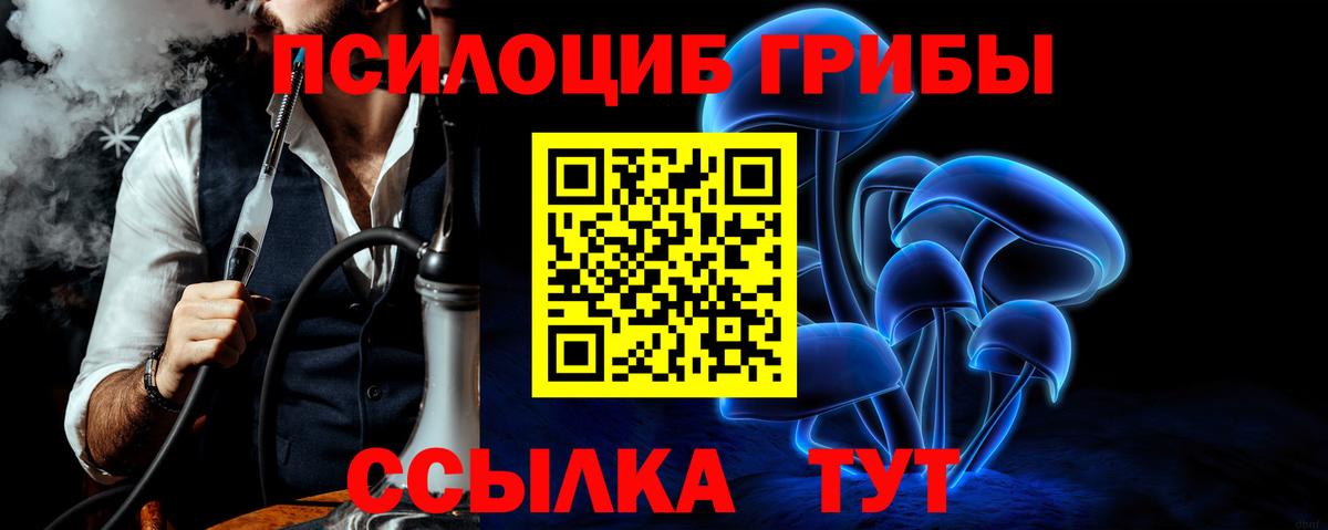 Галлюциногенные грибы MAGIC MUSHROOMS  Вход с VPN  Раменское 